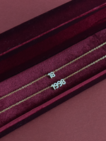 Load image into Gallery viewer, Petite Numerals Necklace
